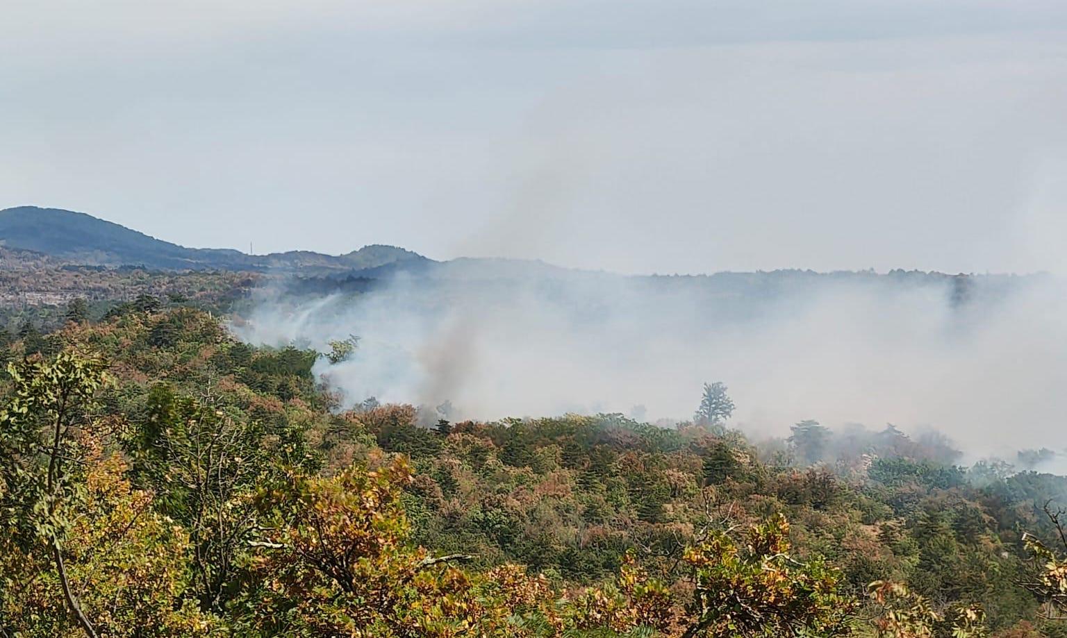 Copertina per Ancora fiamme sul Carso, scoppia nuovo incendio sul Brestovec